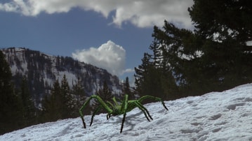 Ice Spiders