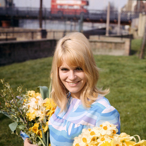 Carol White