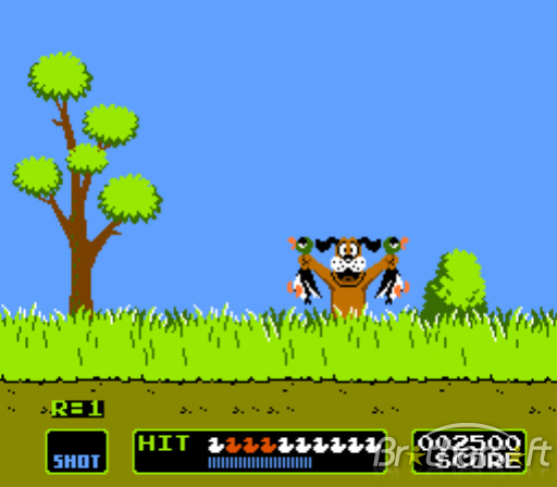 Duck Hunt Duck Hunt