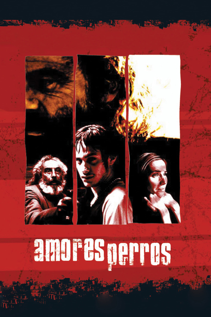 Amores Perros Amores Perros