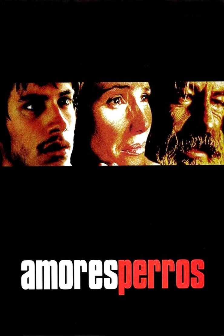 Amores Perros Amores Perros
