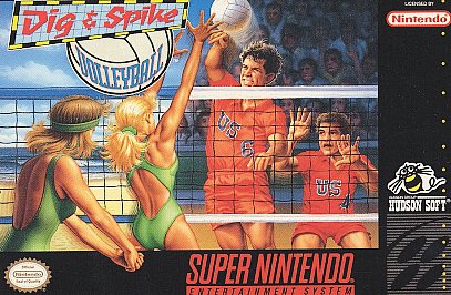 Dig & Spike Volleyball