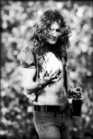 Robert Plant