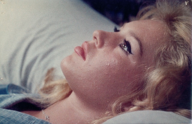 Brigitte Bardot Brigitte Bardot