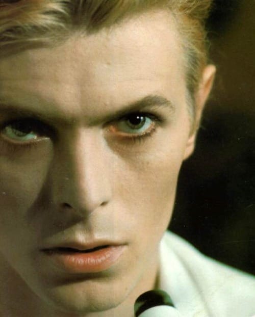 David Bowie