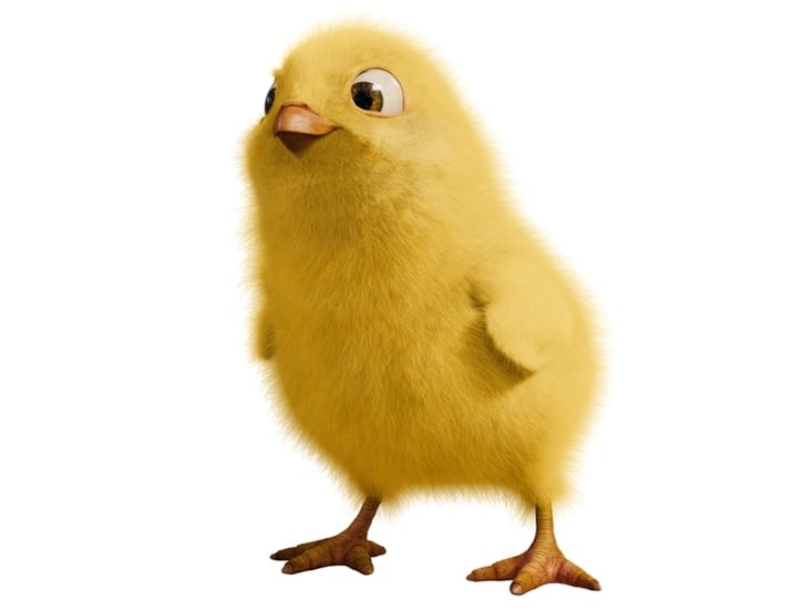 Hop