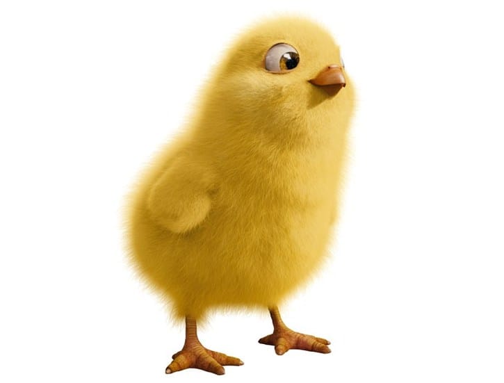 Hop