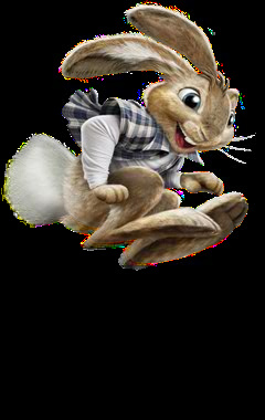 Hop