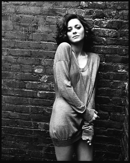 Marion Cotillard