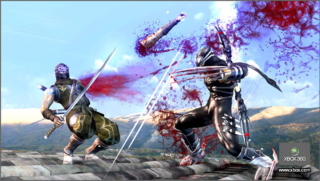 Ninja Gaiden II