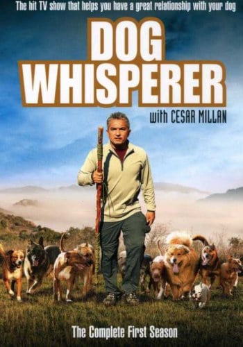 Dog Whisperer with Cesar Millan image