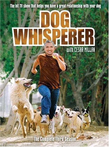 Image of Dog Whisperer with Cesar Millan