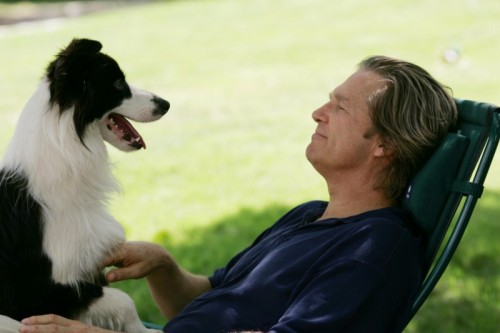 A Dog Year A Dog Year