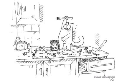 Simon's Cat