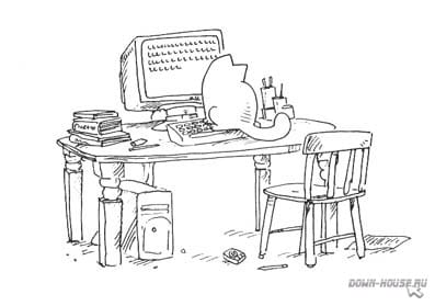 Simon's Cat