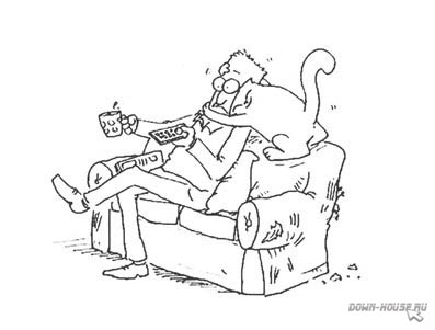 Simon's Cat