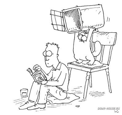 Simon's Cat