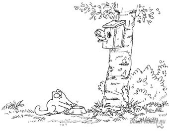 Simon's Cat