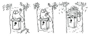 Simon's Cat