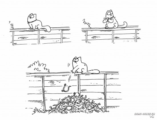 Simon's Cat