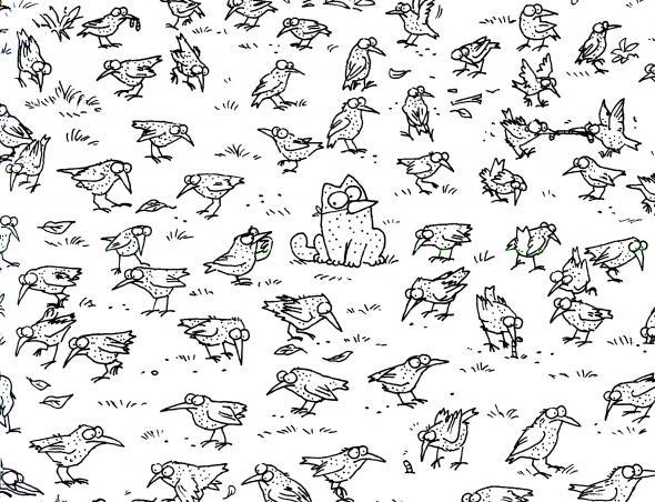 Simon's Cat