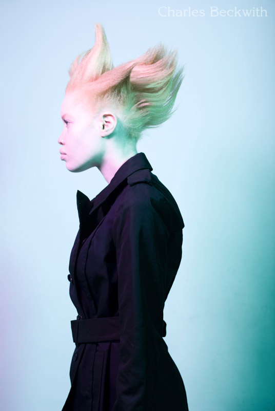 Diandra Forrest