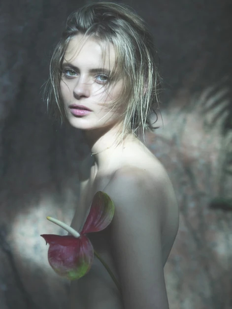 evelyn rose