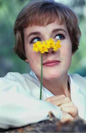 Julie Andrews Julie Andrews