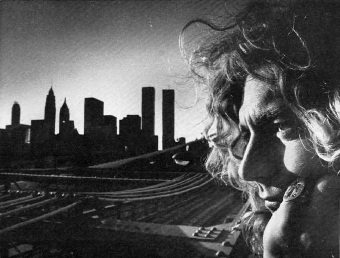 Robert Plant