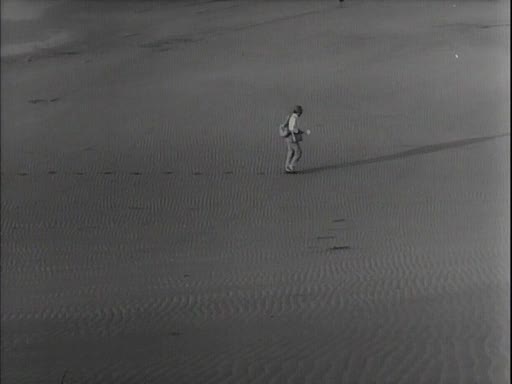 Woman in the Dunes