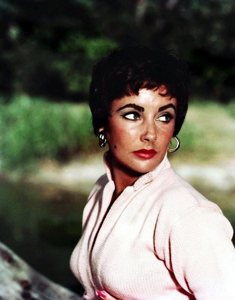 Elizabeth Taylor Elizabeth Taylor