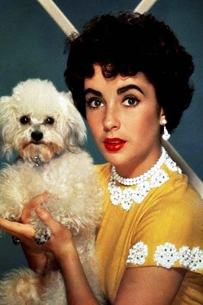 Elizabeth Taylor