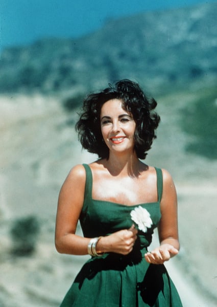 Elizabeth Taylor Elizabeth Taylor