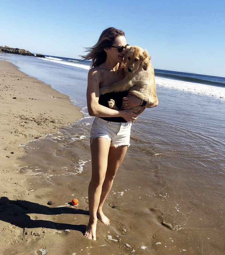 Hunter King Hunter King
