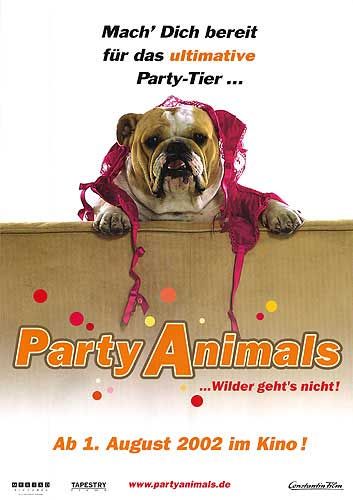 Van Wilder