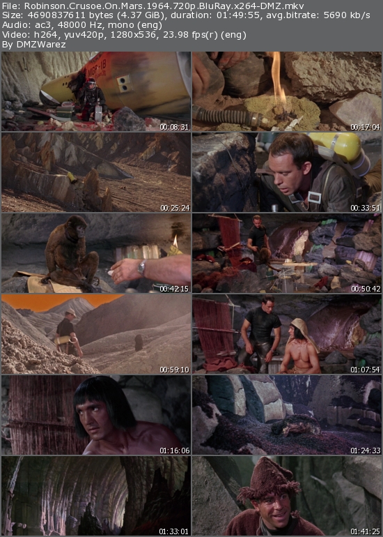 Robinson Crusoe on Mars