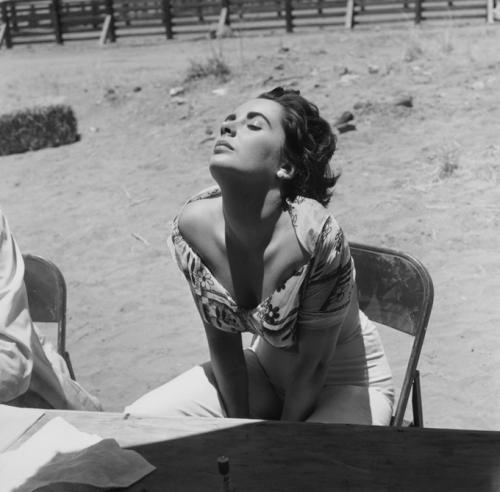 Elizabeth Taylor