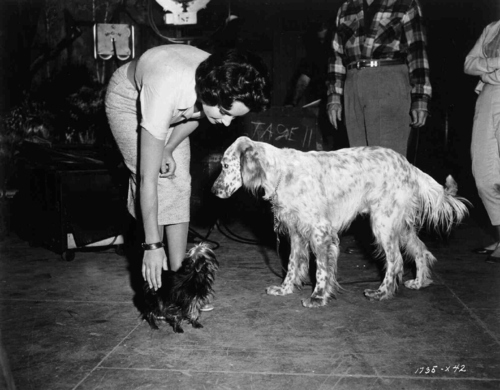 Elizabeth Taylor