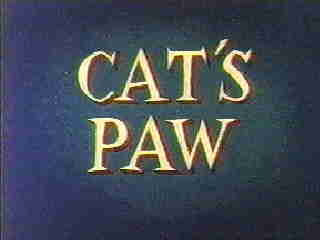 Cat's Paw Cat's Paw