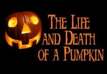 The Life & Death of a Pumpkin