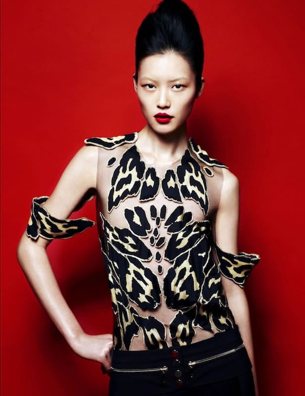 Picture of Liu Wen