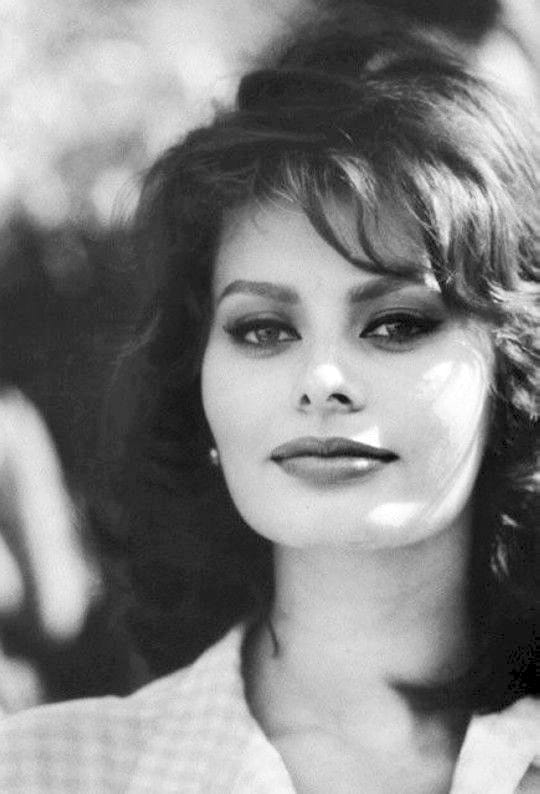 Sophia Loren