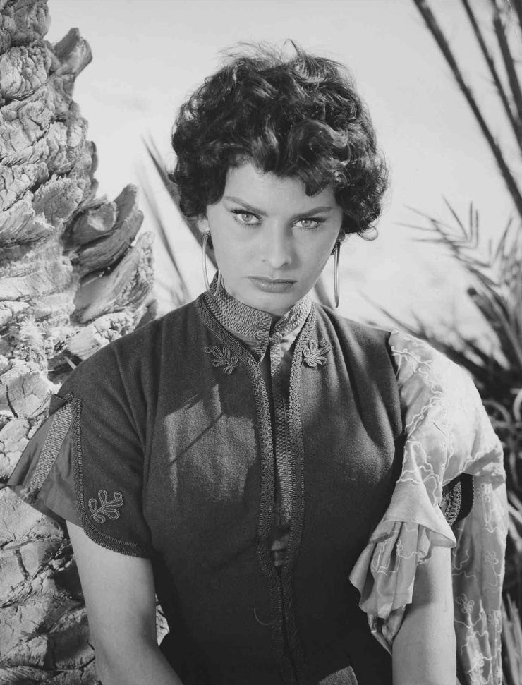 Sophia Loren Sophia Loren