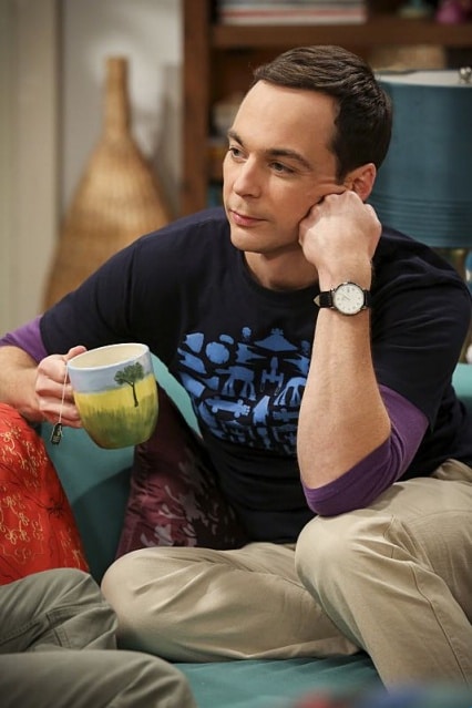 The Big Bang Theory