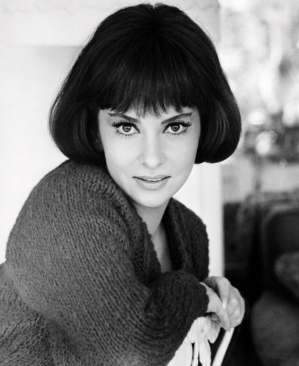 Gina Lollobrigida Gina Lollobrigida