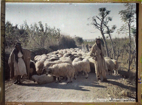 Edwardians in Colour: The Wonderful World of Albert Kahn