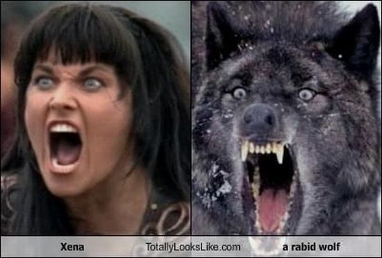 Lucy Lawless Lucy Lawless