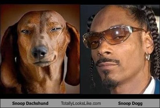 Snoop Dogg