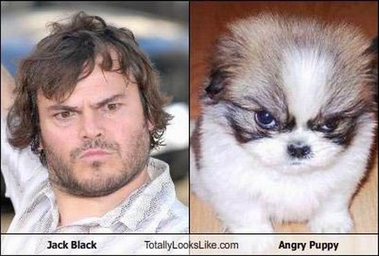 Jack Black