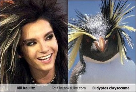 Bill Kaulitz